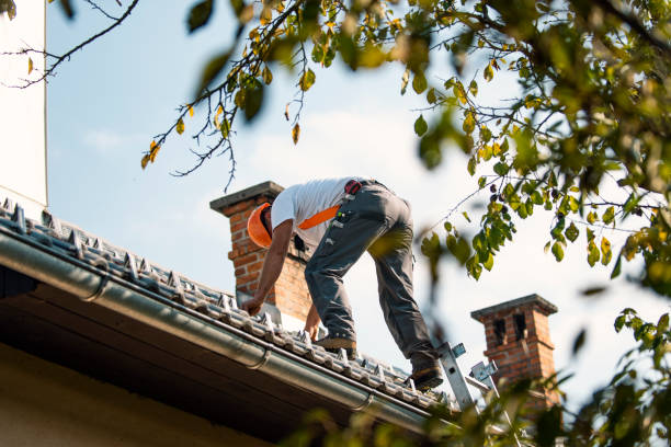 Best Commercial Roofing Services  in Hollins, VA