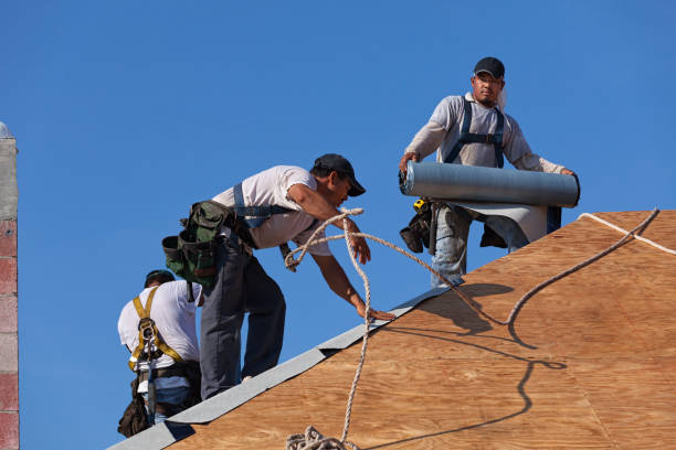 Best Roof Gutter Cleaning  in Hollins, VA