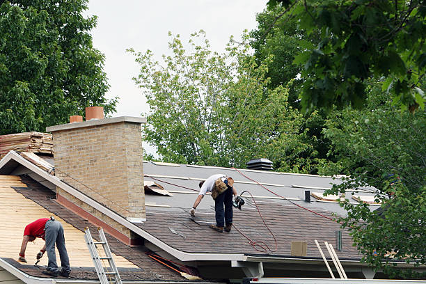 Best Roof Inspection Near Me  in Hollins, VA