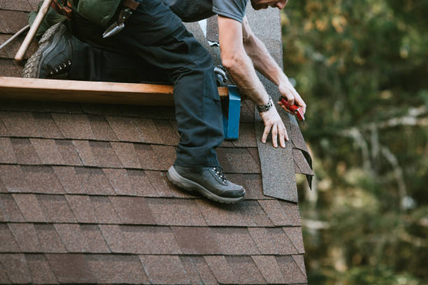 Best Metal Roofing Contractor  in Hollins, VA