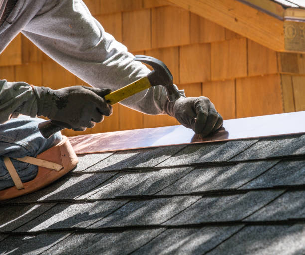 Roof Gutter Cleaning in Hollins, VA